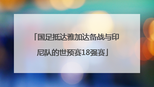 国足抵达雅加达备战与印尼队的世预赛18强赛